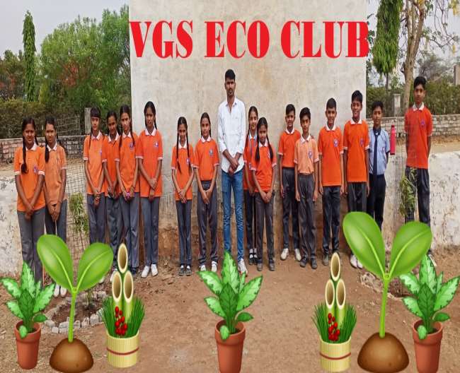 Vidya Global School Bhilwara - Best CBSE School In Bhilwara