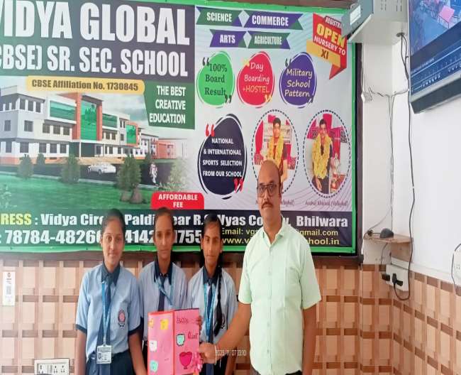 Vidya Global School Bhilwara - Best CBSE School In Bhilwara