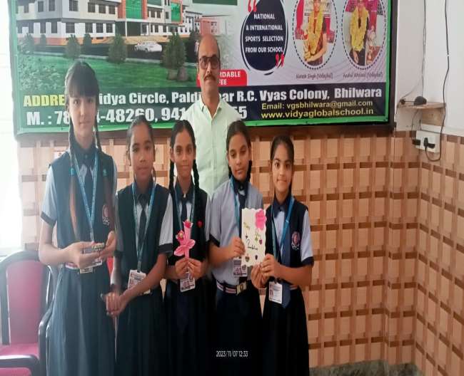 Vidya Global School Bhilwara - Best CBSE School In Bhilwara