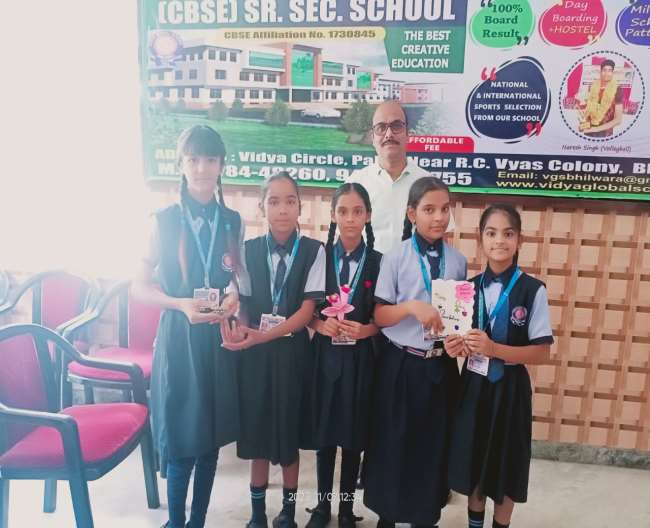 Vidya Global School Bhilwara - Best CBSE School In Bhilwara